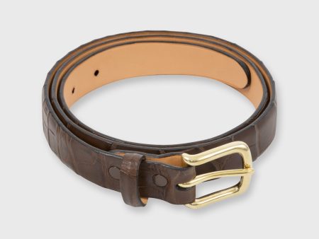 1  Belt in Chocolate Matte Alligator For Cheap