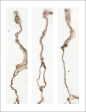 Golden silt | Three mud spill paintings Online now