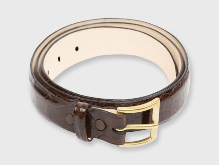 1  Belt in Chocolate Alligator Sale