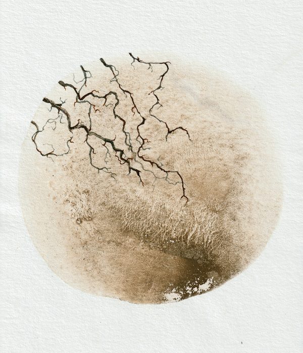 Breaking through | Mud and watercolour root painting For Discount