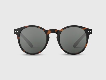 #M Sunglasses in Tortoise For Cheap