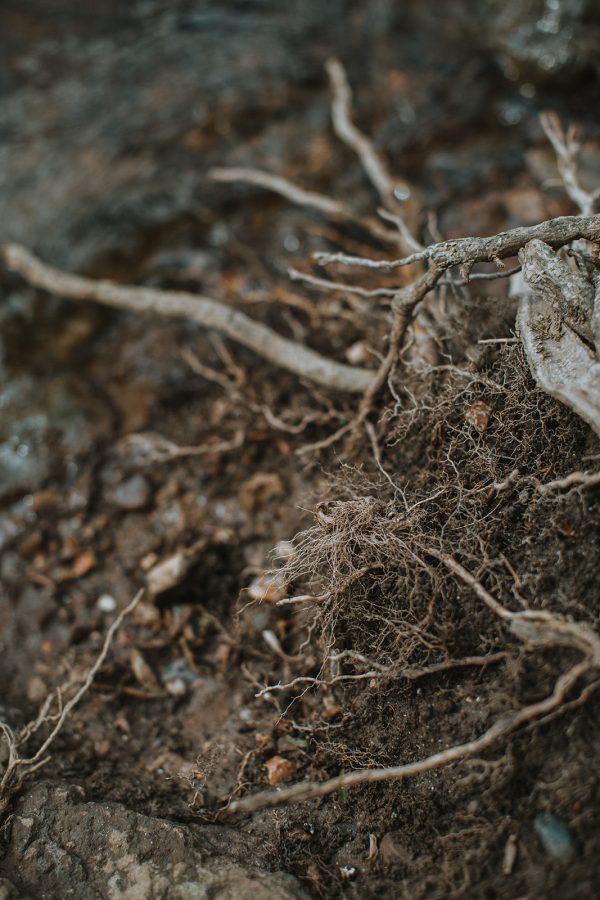 Between the cracks | Mud and watercolour root painting Online Hot Sale